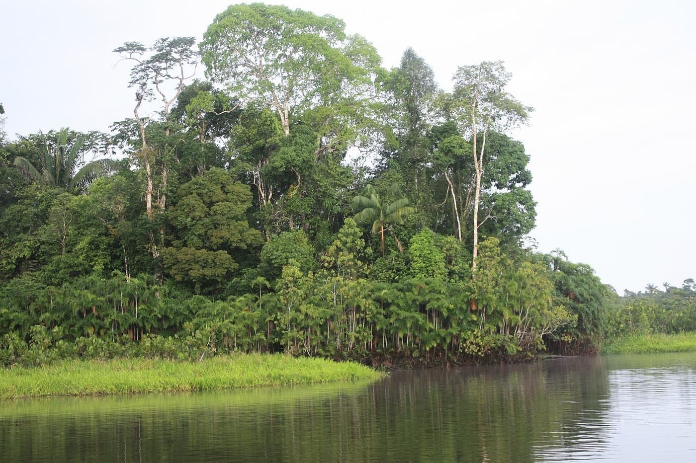 Tours a la Amazonía y el Oriente
