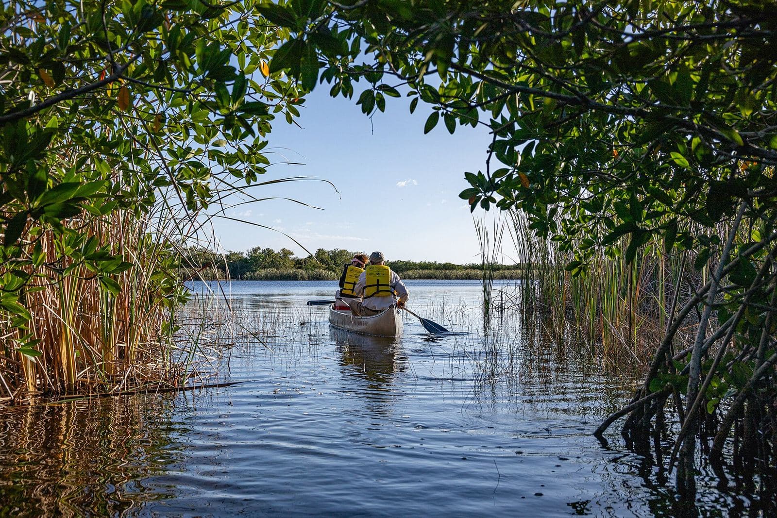 Kayak entre manglares