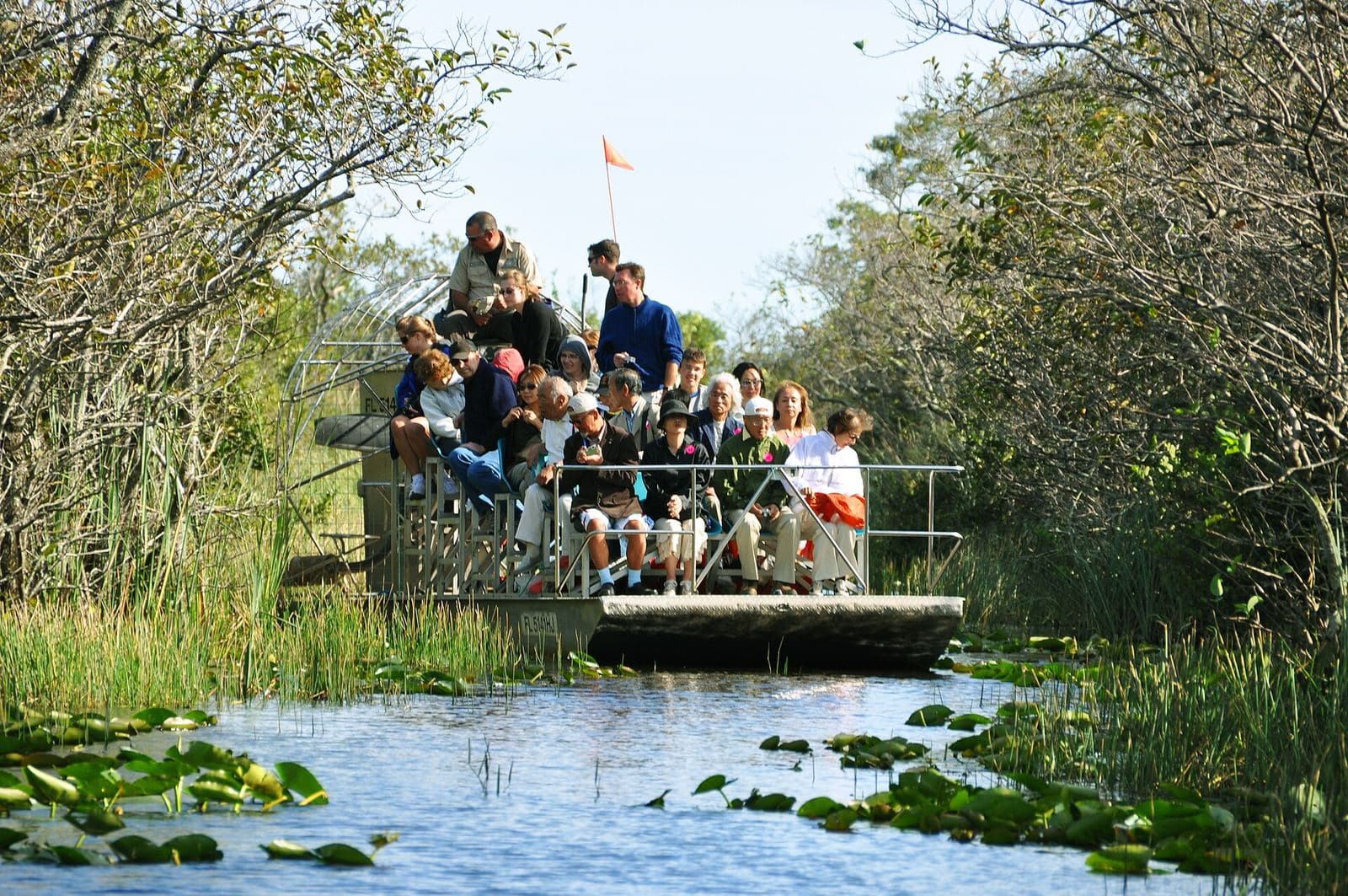 Adrenalina en los humedales de Florida