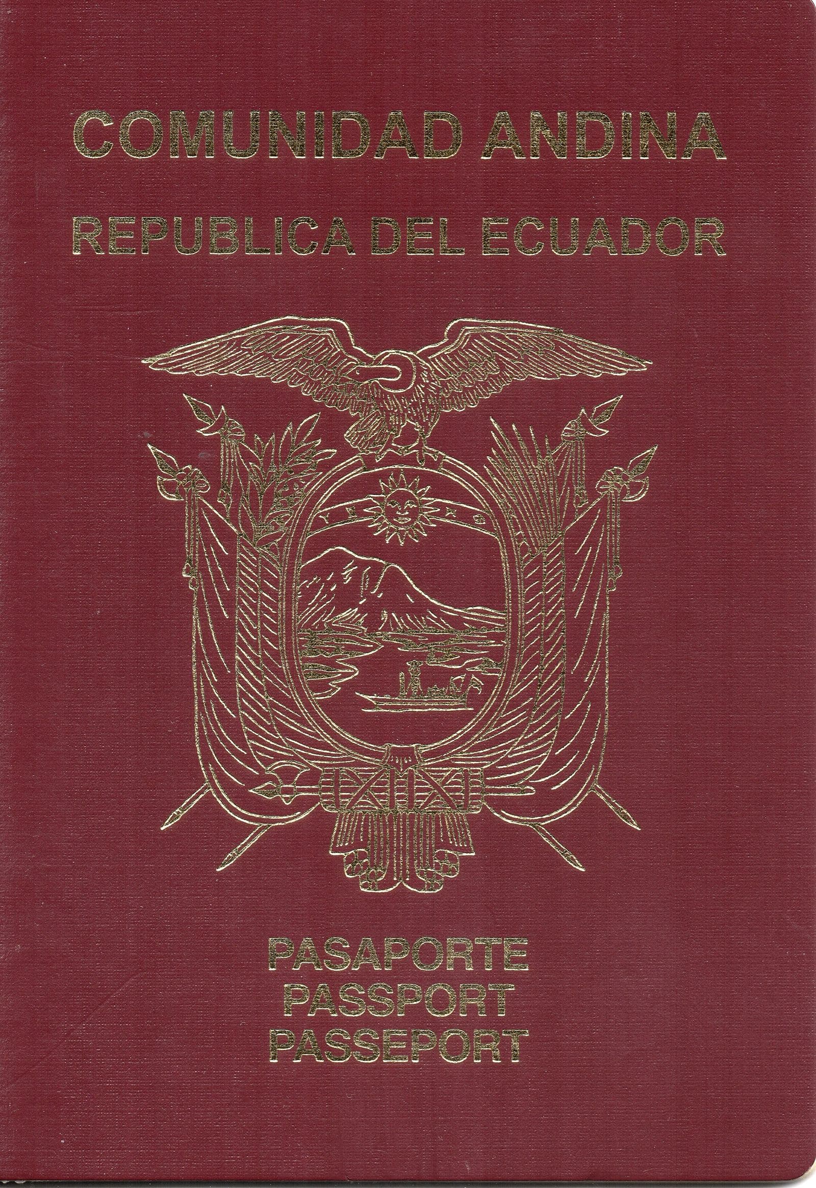 Gestión de visas y trámites migratorios